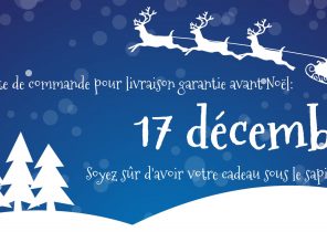 Cadeau livraison avant noel