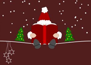Livre noel cadeau