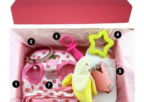 Boite cadeau de noel pour chien et chat