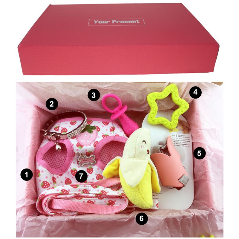 Boite cadeau de noel pour chien et chat