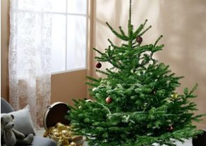 Idees cadeau noel grand parent