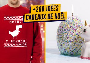 Idée cadeau noel insolite