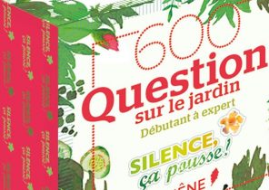 Cadeau de noel jardin