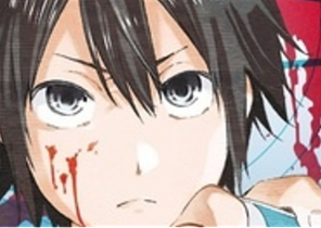 Manga cadeau noël