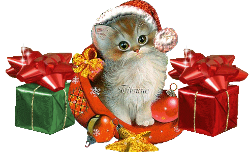 Gif transparent cadeau noel