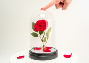 Beau cadeau de noel pour femme