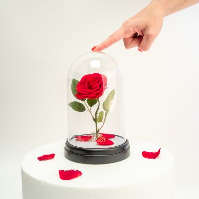 Beau cadeau de noel pour femme