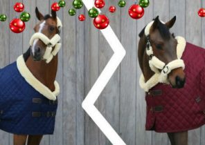 Idée cadeau noel cheval