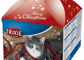 Cadeau noel chat