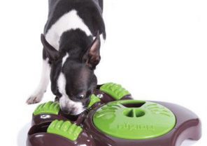 Cadeau noel pour chien