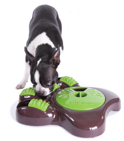 Cadeau noel pour chien