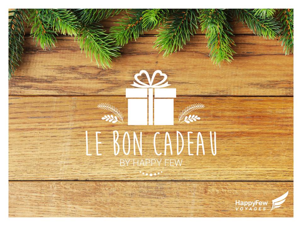 Offrir un voyage en cadeau de noel