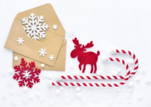Bon cadeau de noël