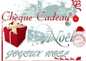 Cadeau de noel ideal