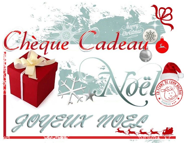 Cadeau de noel ideal