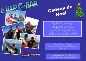 Cadeau de noel peche