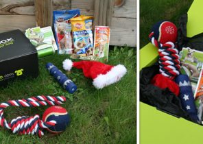 Cadeau box pour noel