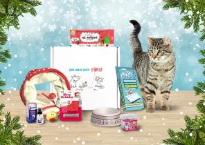 Boite cadeau noel chat
