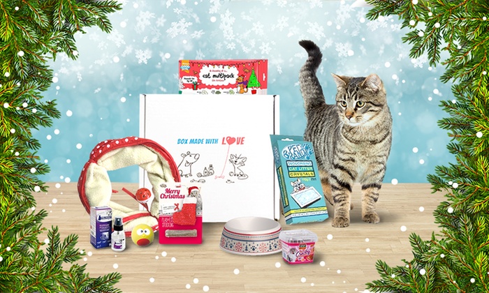 Boite cadeau noel chat