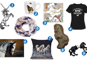 Cadeau noel equitation