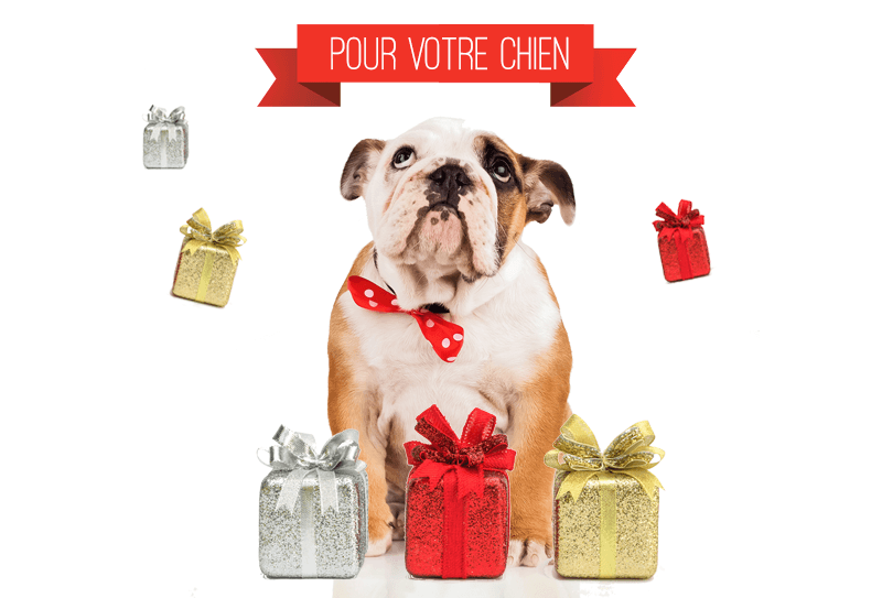 Animal cadeau de noel