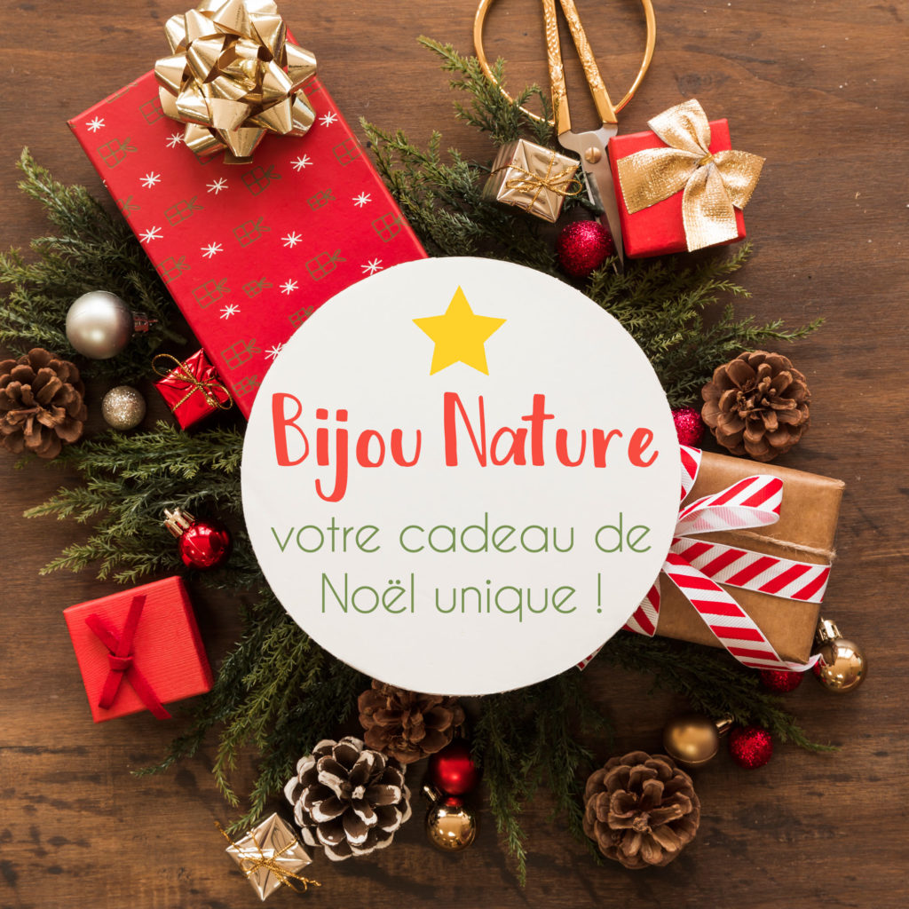 Cadeau de noël bijou