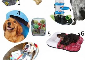 Cadeau de noel pour chiens
