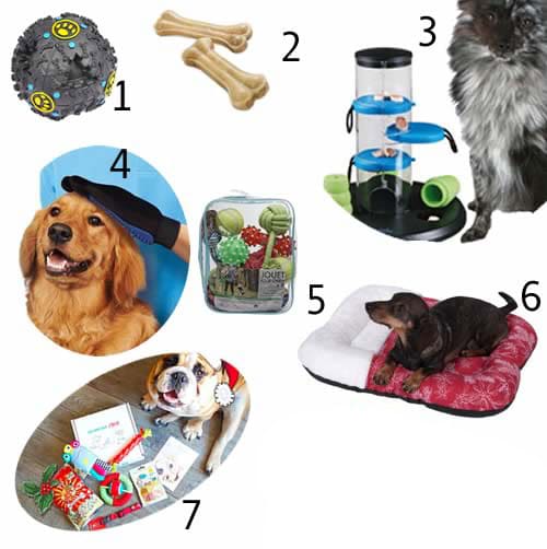 Cadeau de noel pour chiens