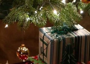 Cadeau de noel jardinier