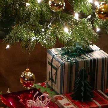 Cadeau de noel jardinier
