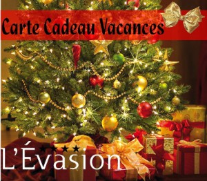 Bon cadeau marché de noel