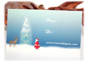 Petite carte pour cadeau de noel