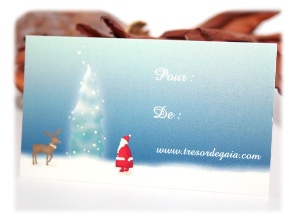 Petite carte pour cadeau de noel