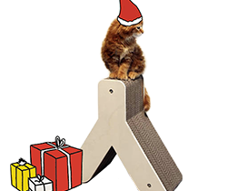 Noel cadeau chat
