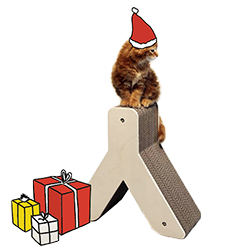 Noel cadeau chat