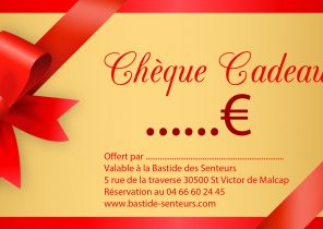Modele bon cadeau noel