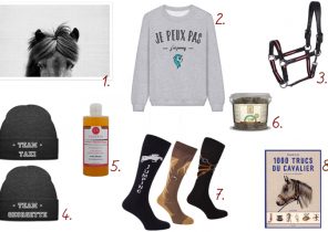 Idee cadeau noel equitation