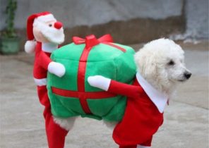 Cadeau chien noel