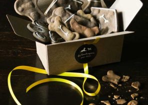 Coffret cadeau noel chien