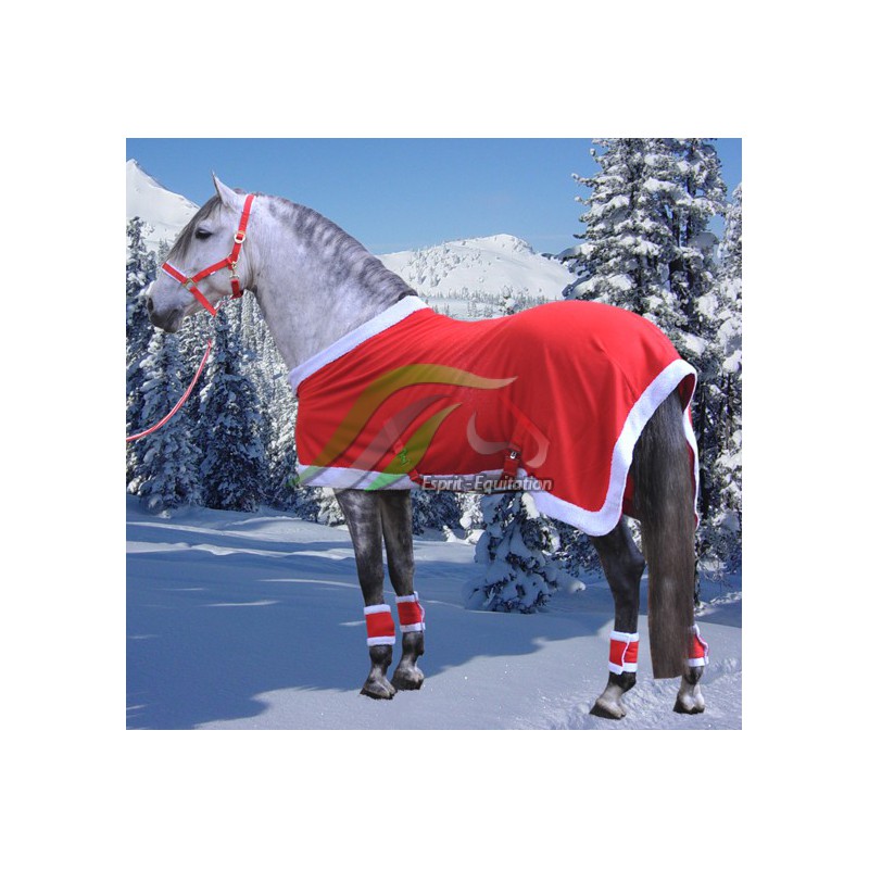 Cadeau de noel a faire a une cavaliere
