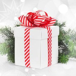 Suggestion de cadeau pour noel