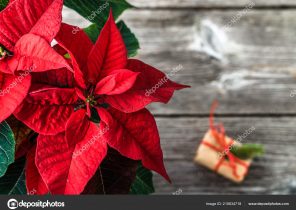 Fdj cadeau noel