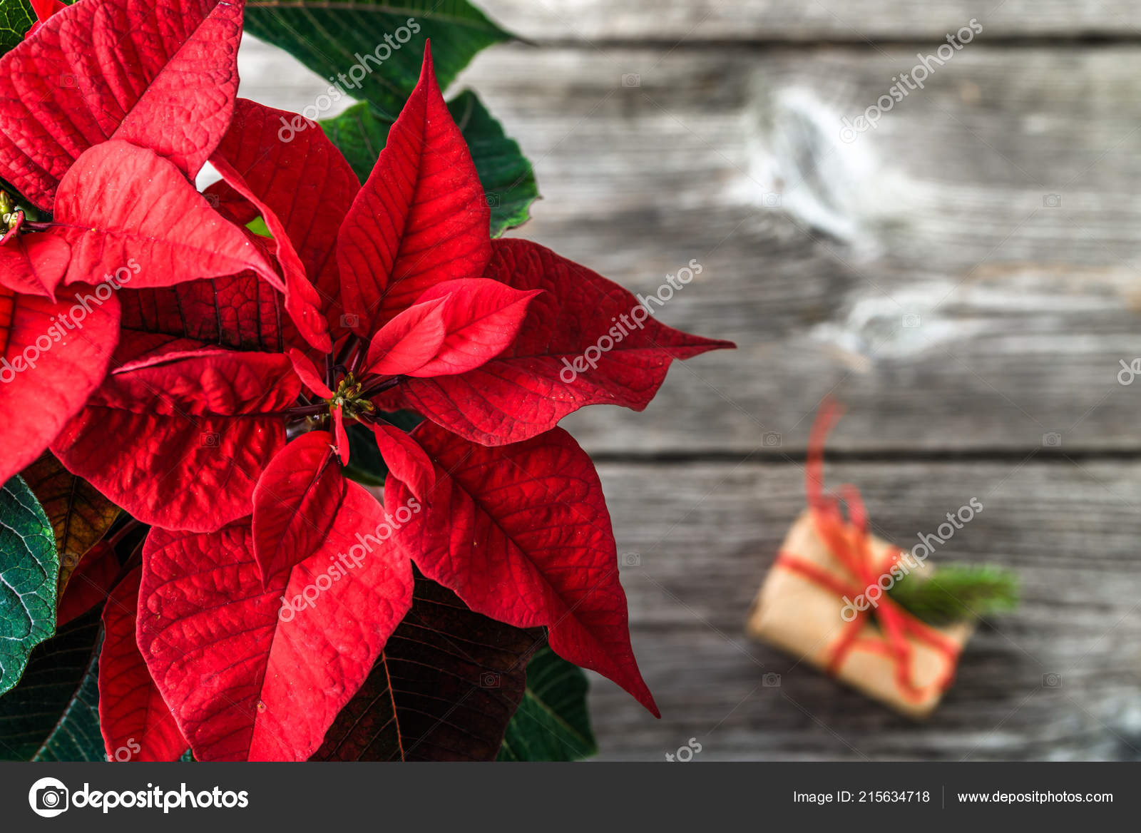 Fdj cadeau noel