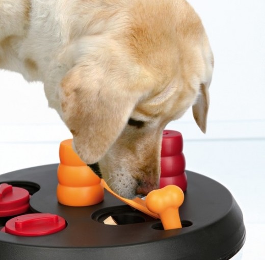 Cadeau de noel pour son chien