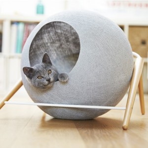 Cadeau de noel pour chaton