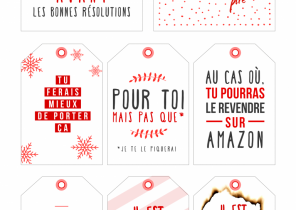 Idée cadeau noel débile