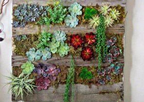 Cadeau de noel mur vegetal
