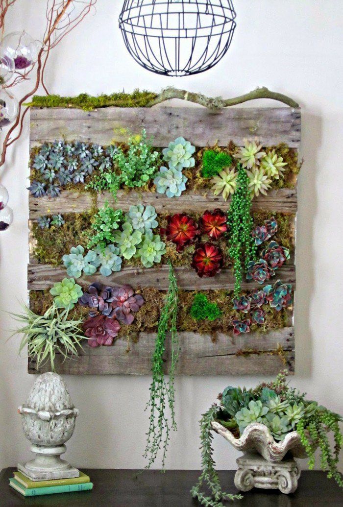 Cadeau de noel mur vegetal