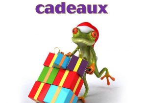 Livraison cadeau noel