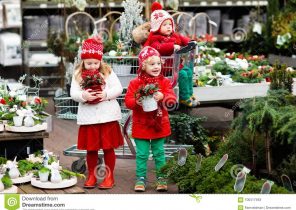Cadeau noël norvège